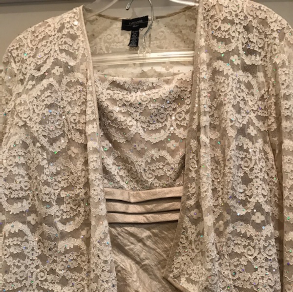R & M Richards Shimmering Evening Dress